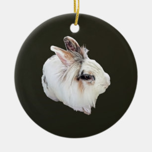 Tri-Colour Lionhead Rabbit Ceramic Tree Decoration