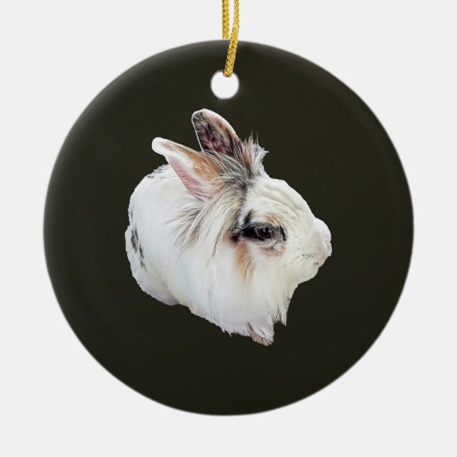 Tri-Colour Lionhead Rabbit Ceramic Tree Decoration (Front)