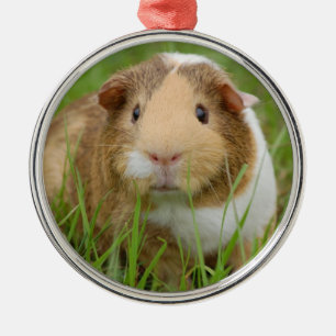 Tri Colour Pet Guinea Pig Metal Tree Decoration