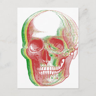Tri-colour Rasta Skull Postcard