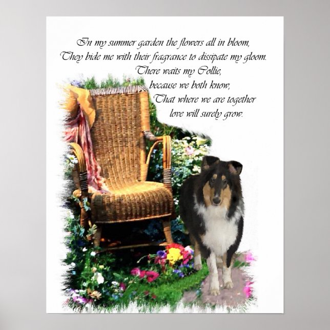 Tri Colour Rough Collie Art Print (Front)