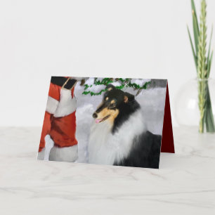 Tri-Colour Rough Collie Christmas Gifts Holiday Card