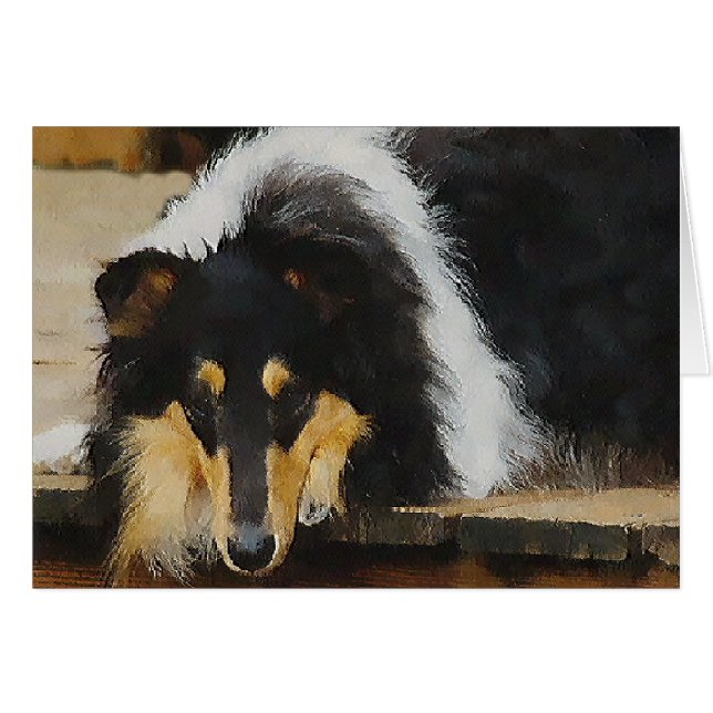 Tri-Colour Rough Collie Gifts (Front Horizontal)