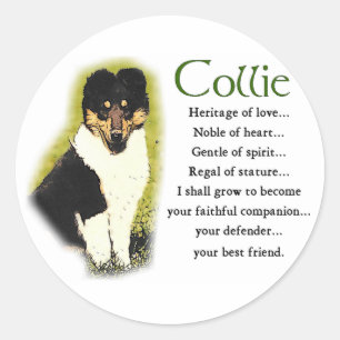 Tri Colour Rough Collie Gifts Classic Round Sticker