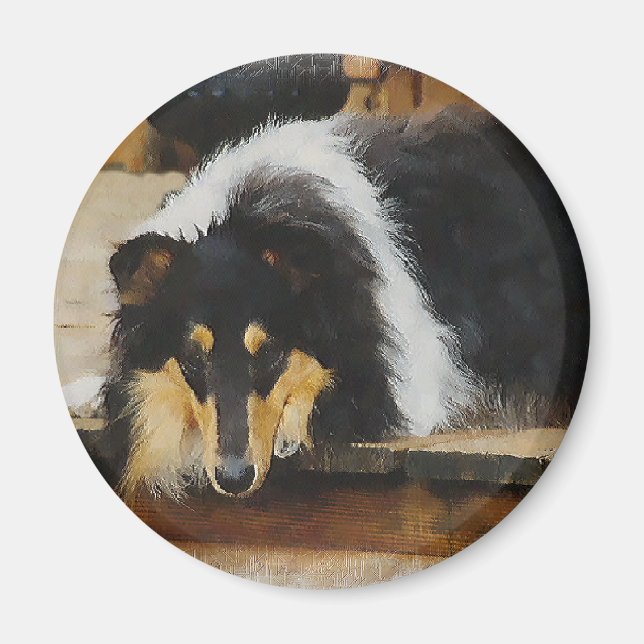 Tri-Colour Rough Collie Gifts Magnet (Front)