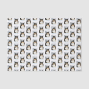 Tri-Colour Sheltie Christmas Tissue Paper