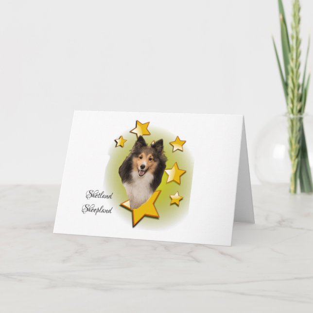 Tri Colour Sheltie Dog is a Star Card (Front)