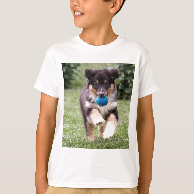 Tri Coloured Australian Shepherd Pup T-Shirt (Front)