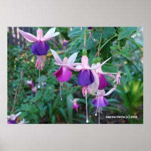 Tri-Coloured Bells Poster