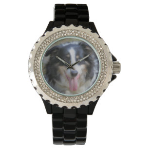 Tri Coloured Border Collie Dog Face Watch