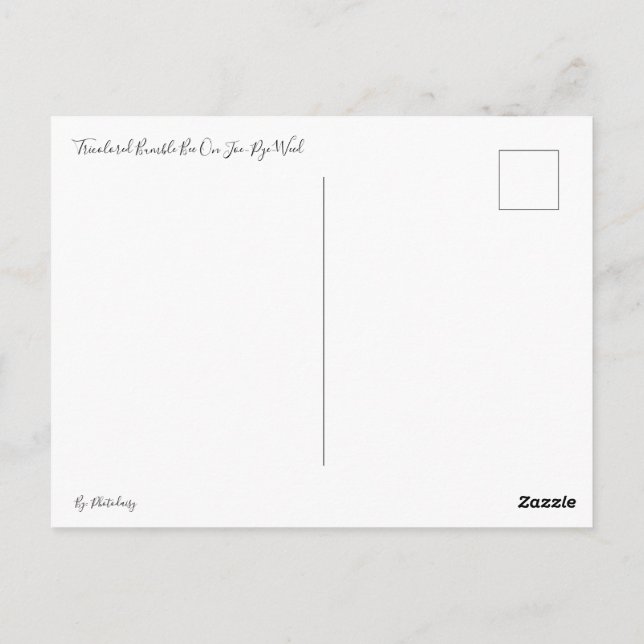 Tri-Coloured Bumble Bee on Joe-Pye-Weed Postcard (Back)