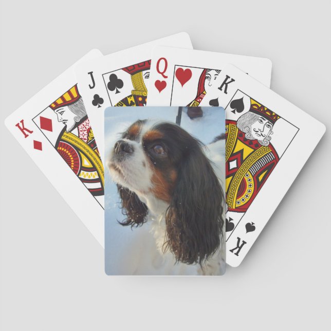 Tri-Coloured Cavalier Spaniel Playing Cards (Back)