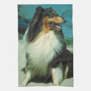 Tri-Coloured Collie Dog Kitchen Towel