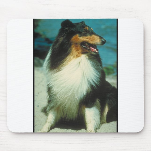 Tri-Coloured Collie Rough Coat Mouse Pad (Front)