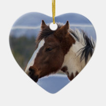 Tri-Coloured Horse
