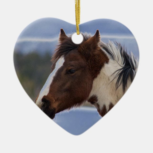 Tri-Coloured Horse Ceramic Tree Decoration (Front)