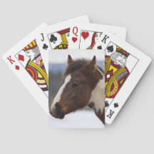 Tri-Coloured Horse