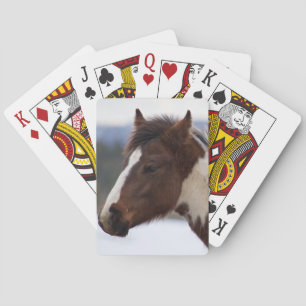 Tri-Coloured Horse Playing Cards
