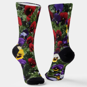 Tri Coloured Pansy Field, Socks