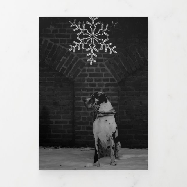 Tri Fold Huge Collection Card (Cover)