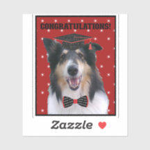 Tri Rough Collie Congratulations Graduate