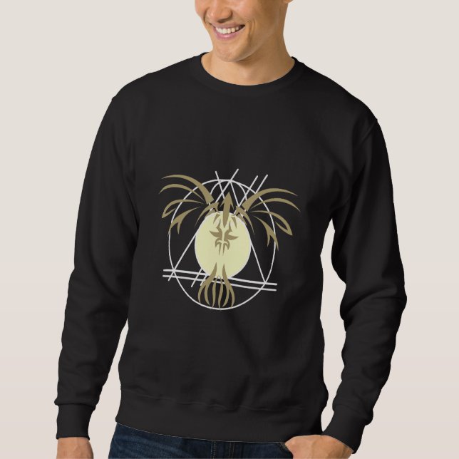 Triangleinstrument Triangle Instrument Triangler B Sweatshirt (Front)