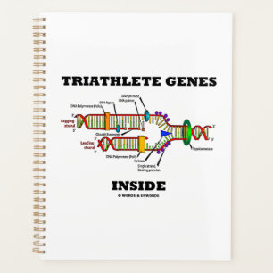 Triathlete Genes Inside DNA Replication Planner