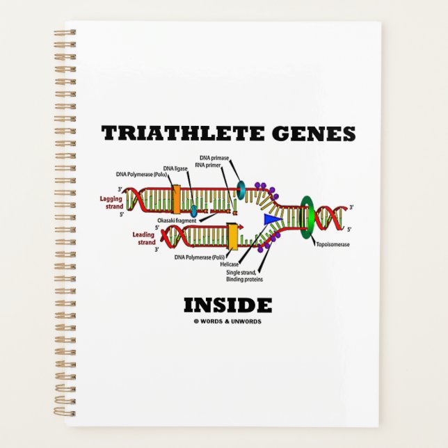 Triathlete Genes Inside DNA Replication Planner (Front)