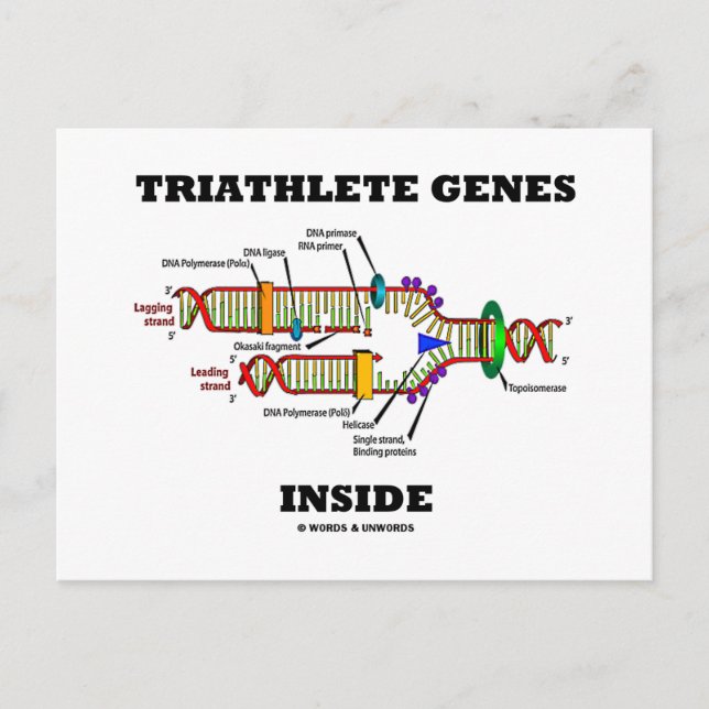 Triathlete Genes Inside (DNA Replication) Postcard (Front)