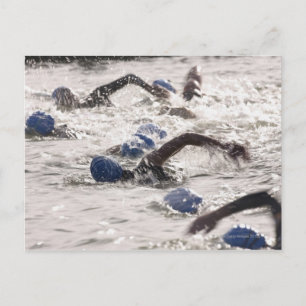 Triathletes competing in swim leg of triathlon. postcard