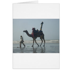 Tribal Camel Ride: Morning Tide Sands & Sea