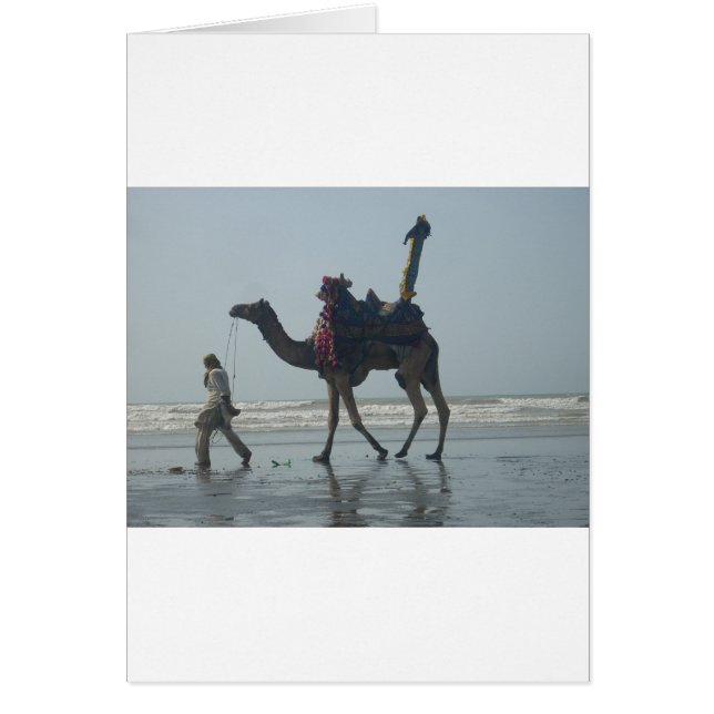 Tribal Camel Ride: Morning Tide Sands & Sea (Front)