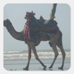 Tribal Camel Ride: Morning Tide Sands & Sea Square Sticker