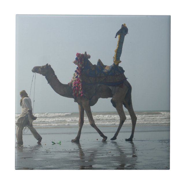 Tribal Camel Ride: Morning Tide Sands & Sea Tile (Front)