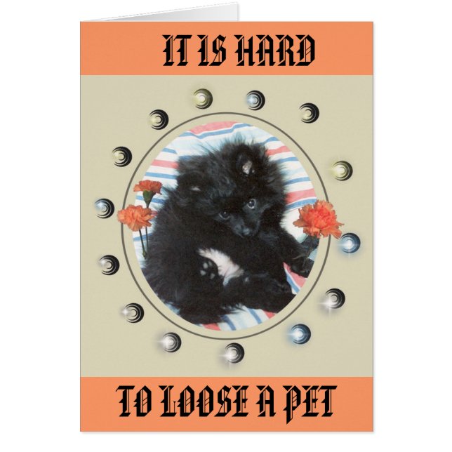 TRIBUTE TO MY MINDY (Front)