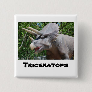 Triceratops Dinosaurs 15 Cm Square Badge
