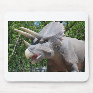 Triceratops/Dinosaurs Mouse Pad
