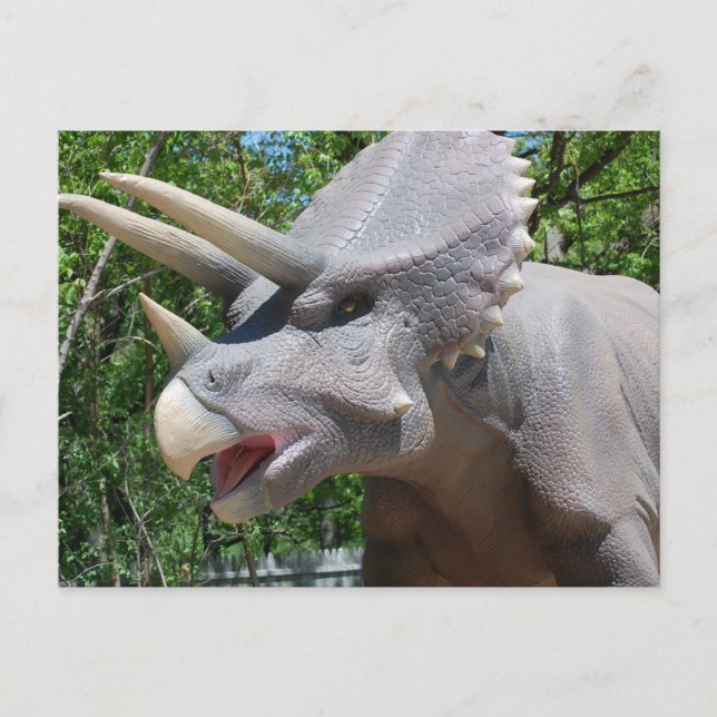 Triceratops/Dinosaurs Postcard (Front)
