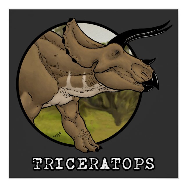 Triceratops Poster (Front)