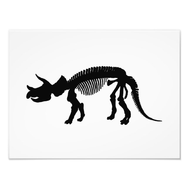 Triceratops skeleton photo print (Front)