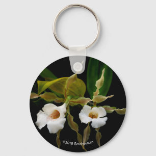Trichopilia Tortilis Key Ring