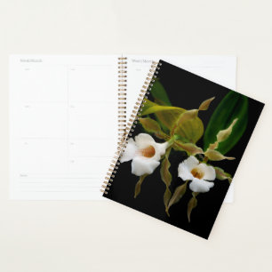 Trichopilia Tortilis Planner