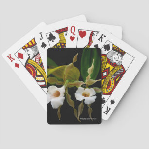 Trichopilia Tortilis Playing Cards