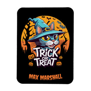 Trick or Treat Cat - Creepy Crawlies Orange Black Magnet