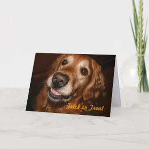 Trick or Treat Dog Card