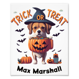 Trick or Treat Dog - Cursed Cuties Orange White Photo Print