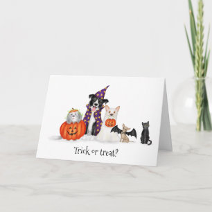 Trick or treat? Dogs in costume Halloween card