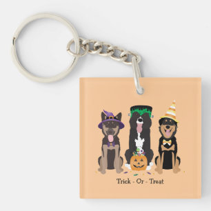 Trick Or Treat Dogs In Halloween Costumes Key Ring