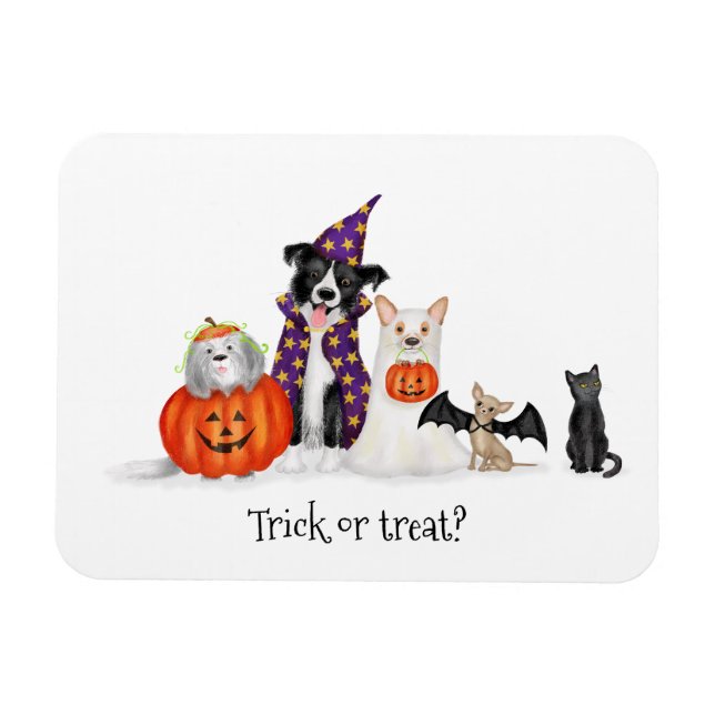 Trick or treat? Dogs in Halloween costumes magnet (Horizontal)