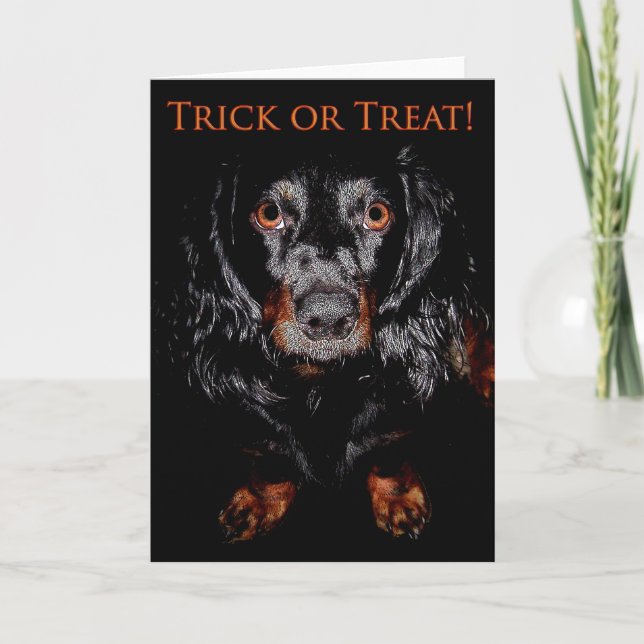 Trick or Treat Greeting Card (Front)